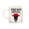 Nba Chicago Bulls Kupa